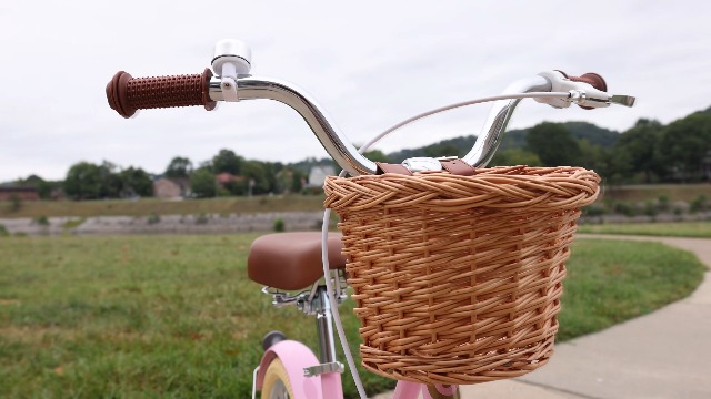 Glerc Little Molly 12 inch Kids Retro Cruiser Bike Bicycle